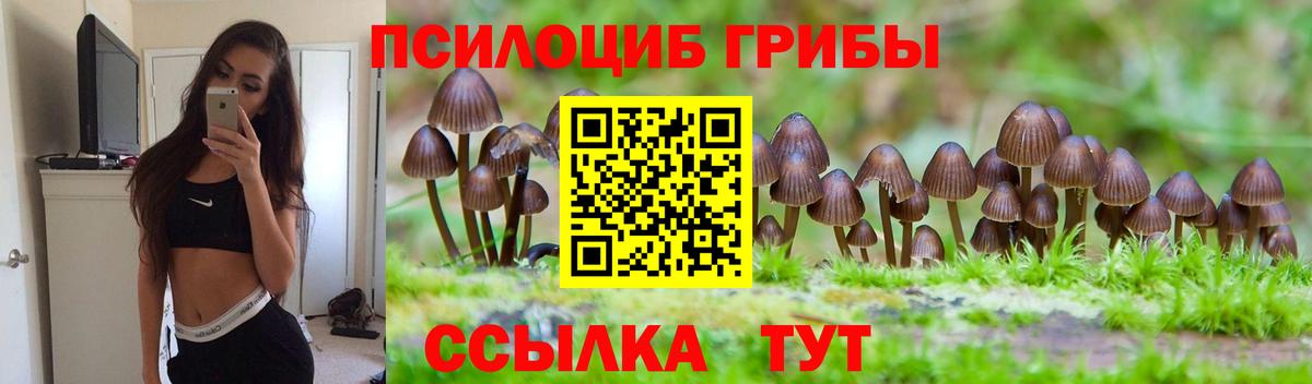 Галлюциногенные грибы мухоморы  Галлюциногенные грибы прущие грибы  где купить наркоту  Дзержинский  Вход с VPN 